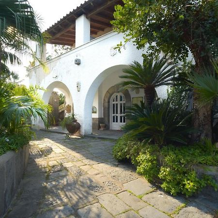 B&B Villa Regine Forio di Ischia Zewnętrze zdjęcie
