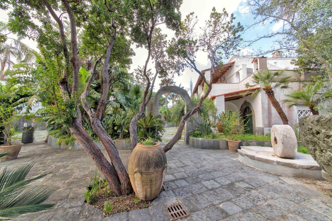 B&B Villa Regine Forio di Ischia Zewnętrze zdjęcie
