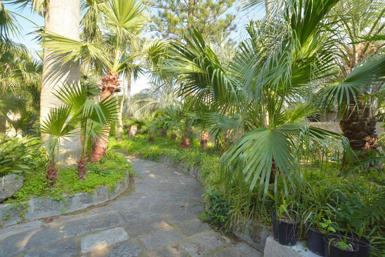 B&B Villa Regine Forio di Ischia Zewnętrze zdjęcie